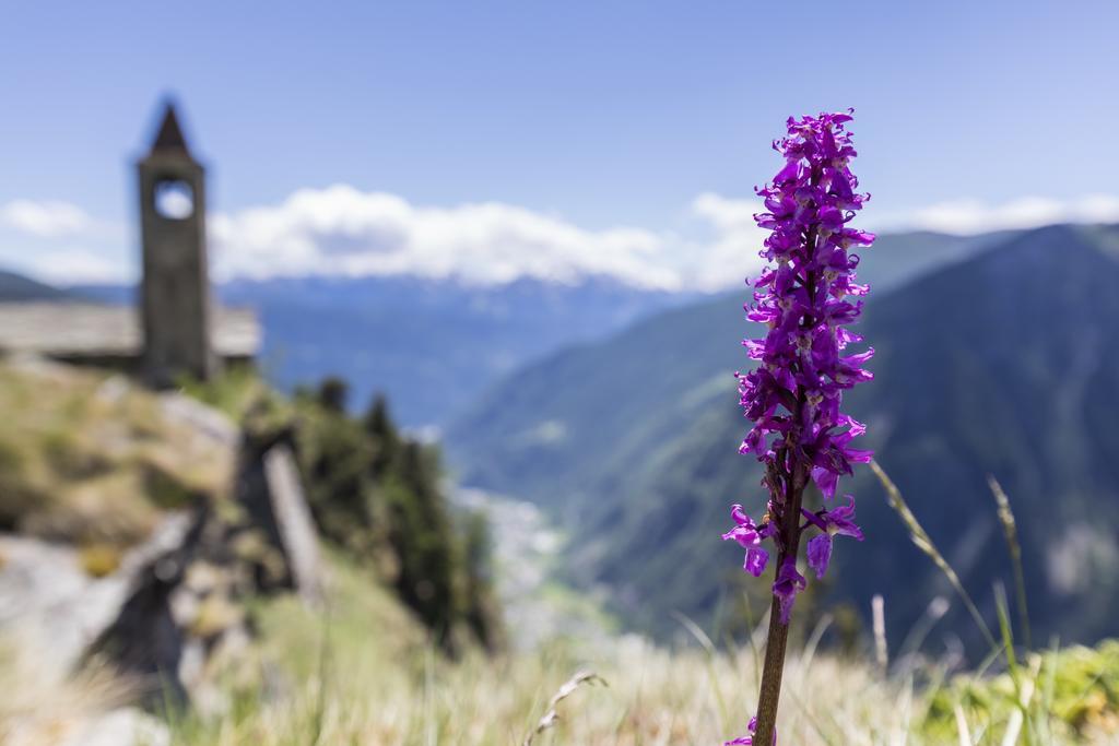 Rifugio Alpe San Romerio Brusio Zewnętrze zdjęcie